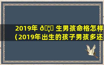 2019年 🦈 生男孩命格怎样（2019年出生的孩子男孩多还是 🐶 女孩多）